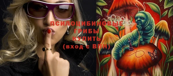 дмт Щучье