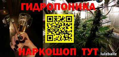 прущие грибы Балаково