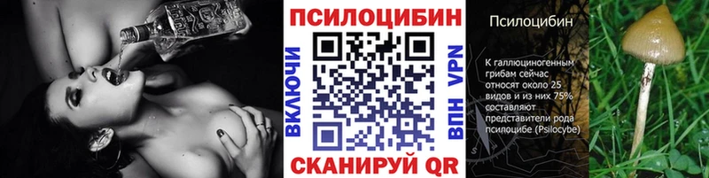 Галлюциногенные грибы Psilocybe  купить закладку  Калининград 