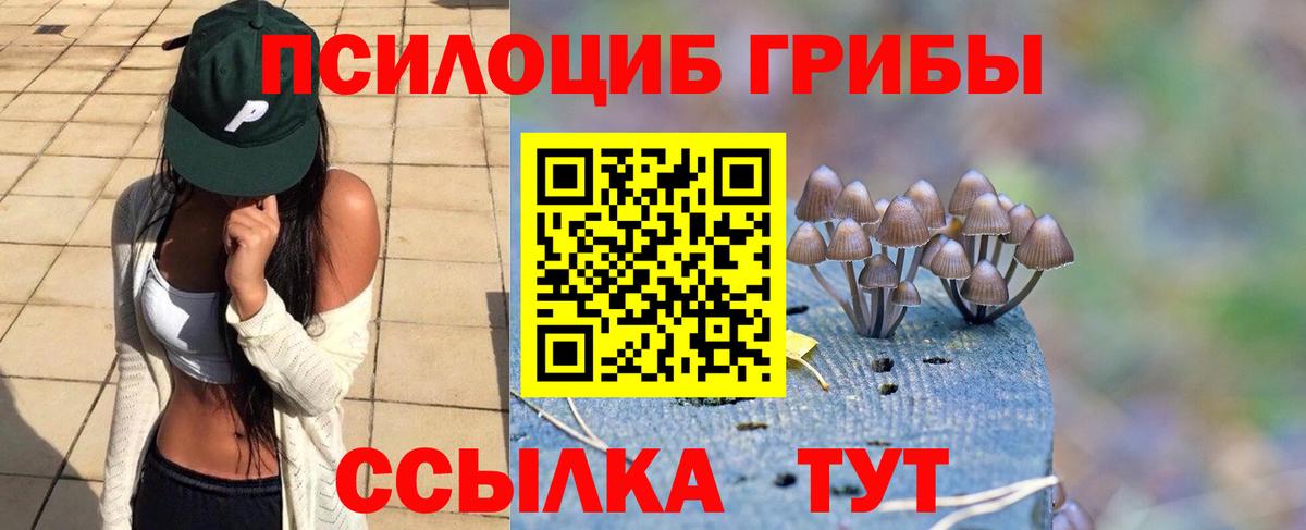 Галлюциногенные грибы Cubensis Калининград