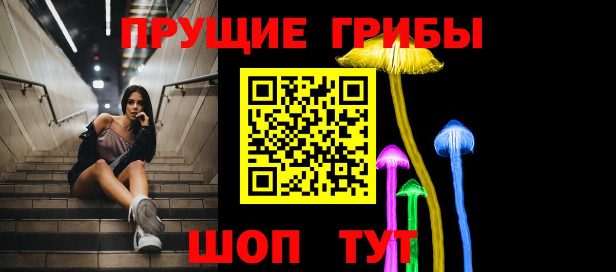 Псилоцибиновые грибы GOLDEN TEACHER  Калининград  Псилоцибиновые грибы прущие грибы 